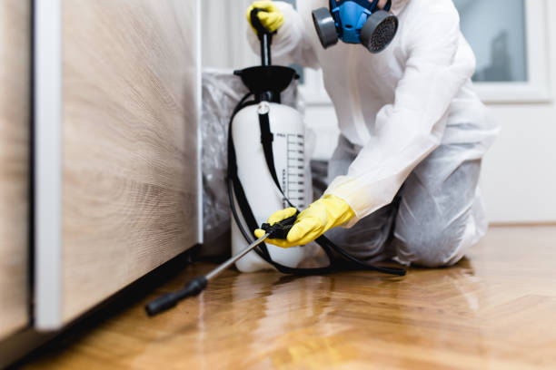 Best Pest Prevention Services  in Ladera, CA