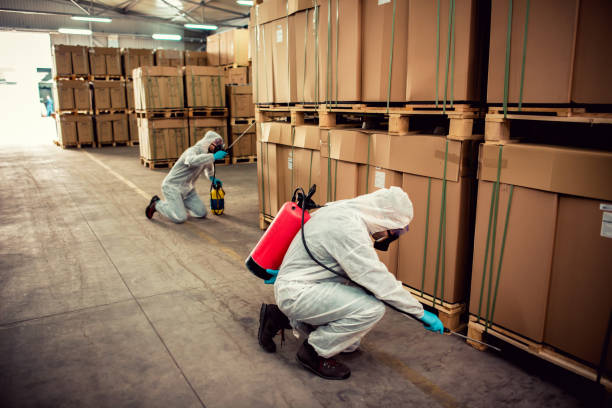 Best Termite Control Services  in Ladera, CA