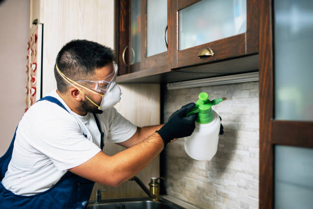 Best Mosquito Control Services  in Ladera, CA