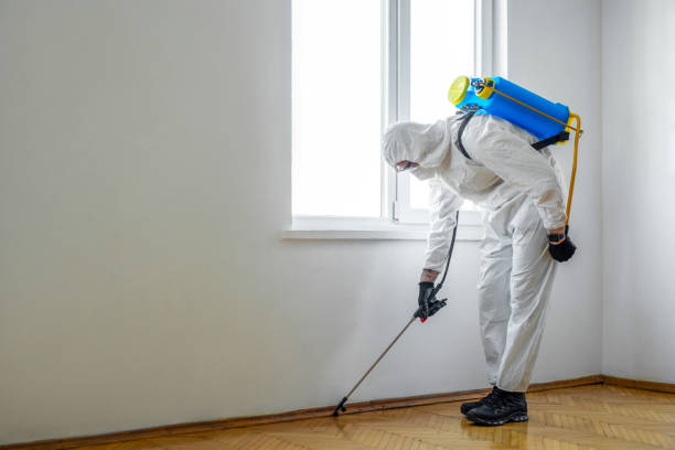 Best Pest Inspection Near Me  in Ladera, CA