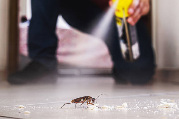 Best Bed Bug Extermination  in Ladera, CA
