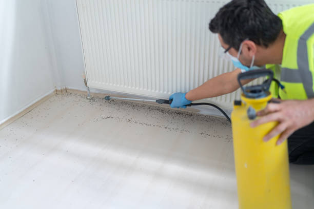 Best Flea Control Services  in Ladera, CA