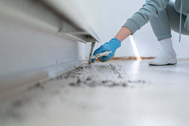 Best Best Pest Control Companies  in Ladera, CA